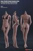 TBLeague Scale Seamless Female Santan Bust Size M 1/6 Ultra-Flexible Body, Series, (S02A)