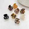Horsetail Small Gripper Elegant Women Hair Claw Korean Style Hair Clip Acetic Acid Small Shark Clip