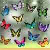 New 20PCS Butterfly Window Stickers Anti-Collision Window Clings Decals Reusable Glass Window Film Wall Stickers