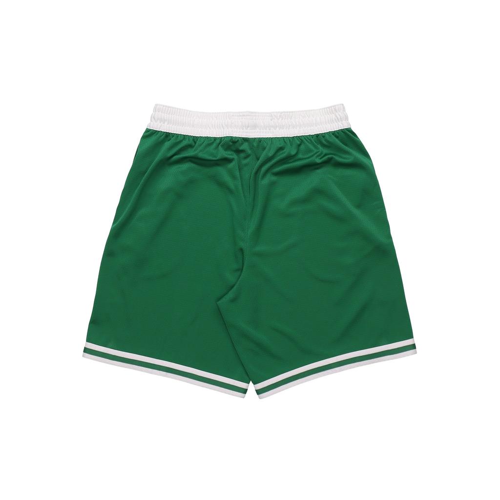 Nike Мужские баскетбольные шорты Boston Celtics Icon Edition Swingman, зеленые AJ5587-312