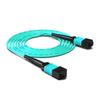 Dasheng Light MPO-MPO 8-Core OM3 Multimode Fiber Patch Cable