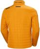 Куртка Helly Hansen Crew Insulator Jacket 2.0 (30343) морошка