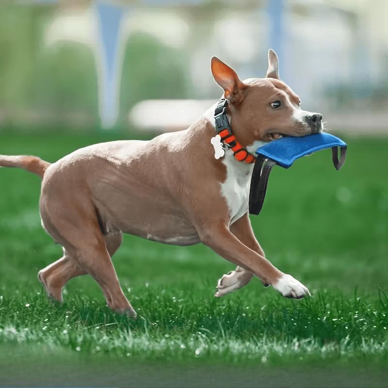 Durable Dog Tug Rope Bite Toy For Small Medium Dogs Puppy Training Chewing