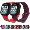 Для Fitbit Versa 3 / Sense Силиконовый ремешок для часов, Размер: L(серый)