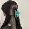 Summer Acetate Hair Clip Spring Special-shaped Grab Clip Cute Four Seasons Hair Claw  Girls