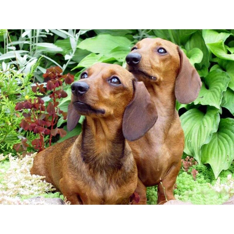 Полный 5D Алмазная картина Живая собака DIY Алмазная вышивка Алмазная мозаика Наборы для вышивки крестом Домашний декор Подарок