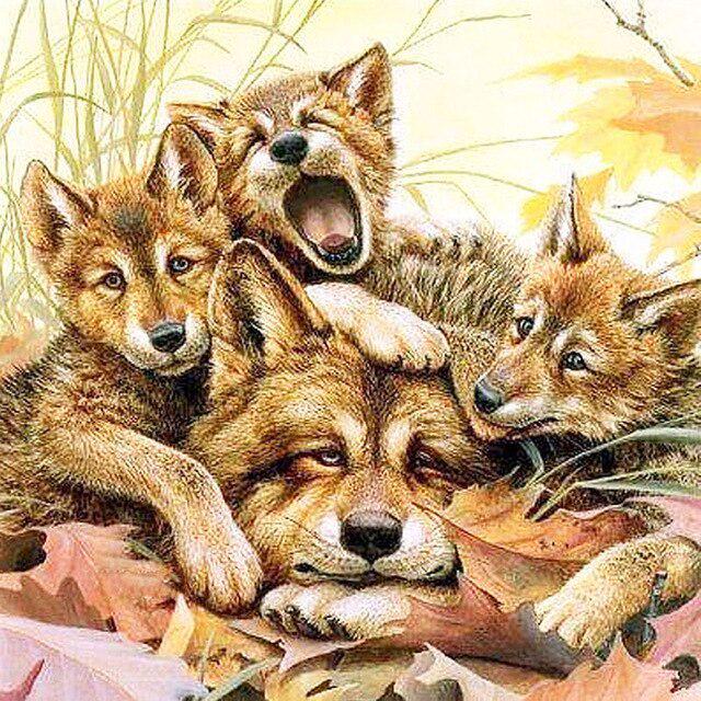 DIY 5D Алмазная картина Волк под луной Животное Мозаика Полная круглая дрель Алмазная вышивка