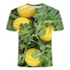 3D Funny Watermelon Tree Graphic T Shirt for Men Clothing Cool Design Fresh Fruit T-shirt Fashion Streetwear Casual Kid Tops Tee