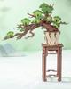 ROBOTIME 3D Puzzle 3D Wooden Puzzle Evergreen Pine Bonsai Assembly DIY Craft Plant Collection Architectural Model Japanese Interior Assembly Craft Kit
