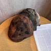 Ретро Галстук Модный Узор Нейтральный Берет Подходит Для Осени Зимы И
