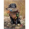 Полный 5D Diy Алмазная картина Мультфильм животных Собака Алмазная вышивка Крестом Домашний декор Ручная работа