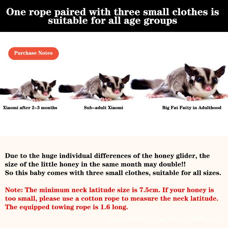 4 шт., нагрудный ремень для маленьких домашних животных, поводок с белкой, хомяк, тяговая веревка против укуса, сахарный планер, ветрозащитный специальный анти-потерянный трос