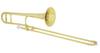 ZO Plastic Tenor Trombone Champagne Gold (Tube) TTB-08 Color