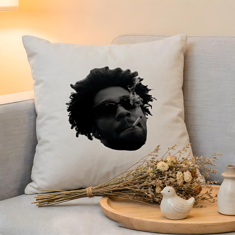 Cushion Cover Linen SkinFriendly Soft Decorative Case for Sofa Home Decor Chill RNB Singer BBrent Faiyaz Pillow cover