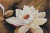 Cross Stitch Kit Abris Art Flowers