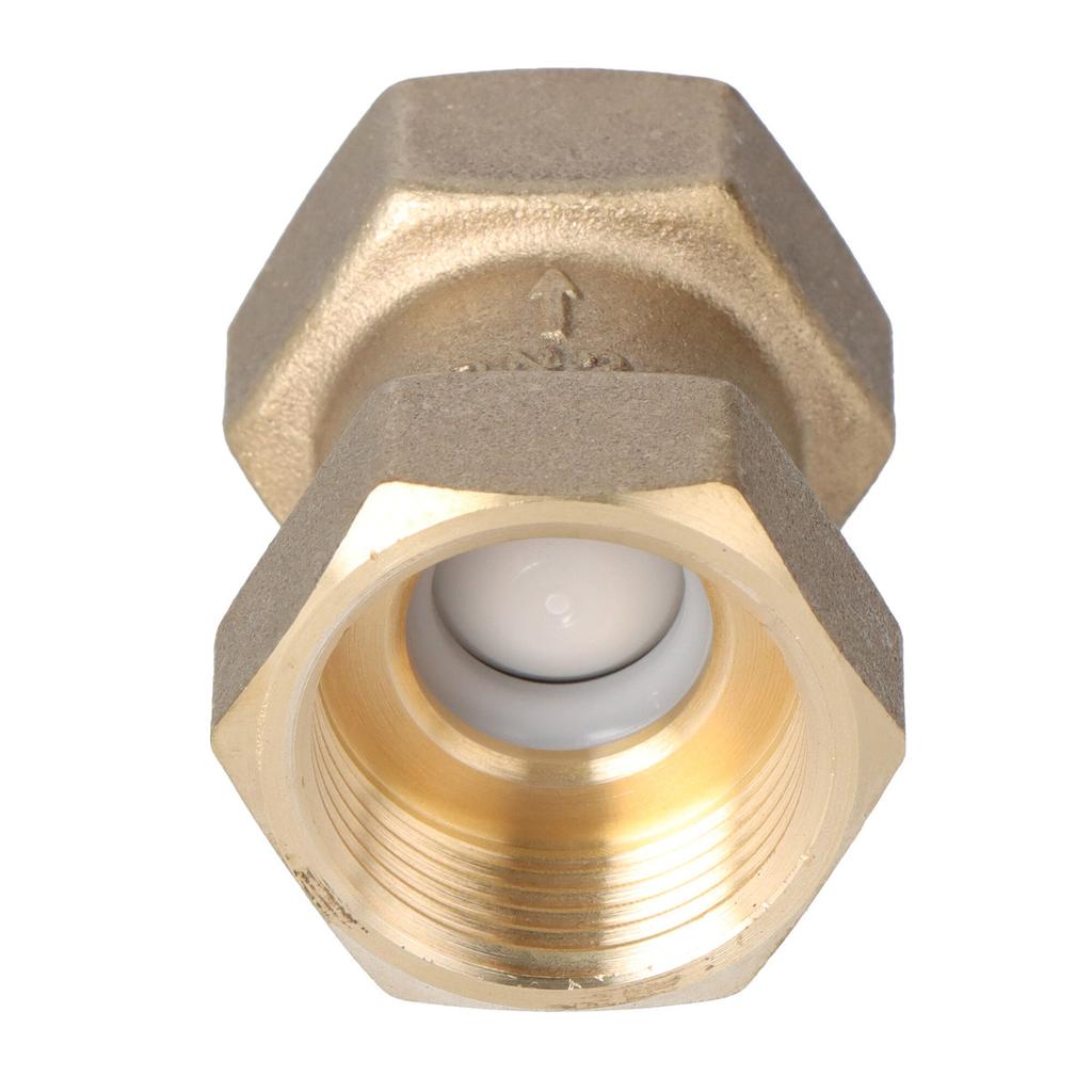 Internal threaded check valve type 601 3/4 inch