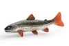 [Nekogamiyama] Iwana (char), River Fish, Mountain Stream Fish, Figurine, Model, Miniature, Ornament, Interior Decoration, Collector's Model
