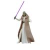 Hasbro Star Wars STAR WARS Black Series Jedi Master Vernestra Law, Acolyte Collection 15cm Action Figure G1548 Genuine Product
