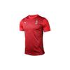 Puma Домашняя футбольная майка AC Milan с короткими рукавами, мужские топы, красные 758229-01