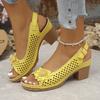 Large size flower high-heeled sandals women's 25 new European and American fashion casual buckle with solid color Roman sandals
