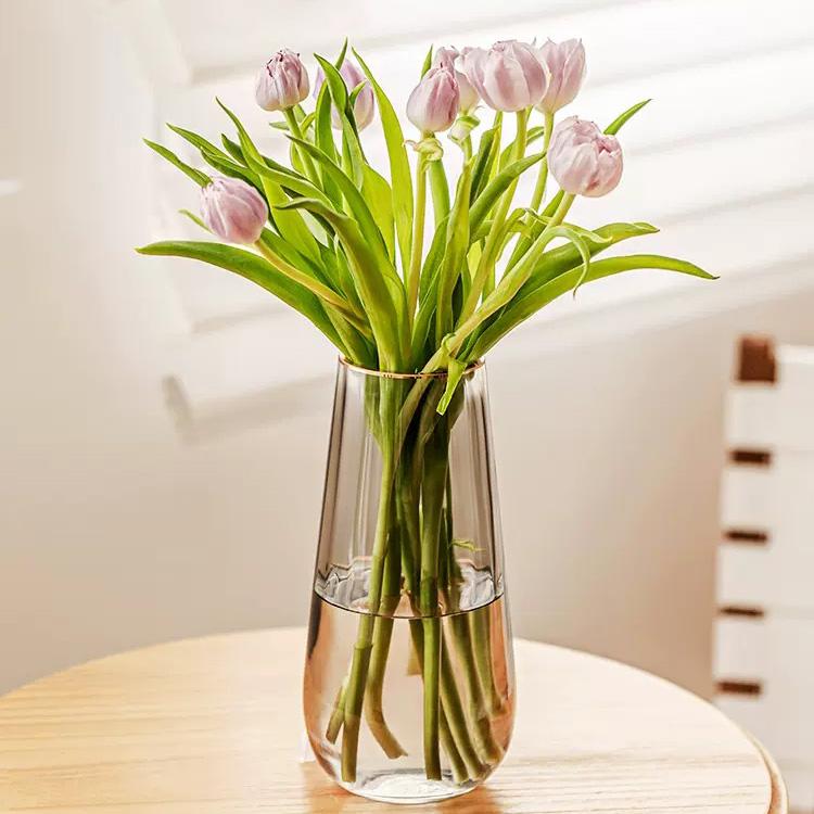Ваза Стеклянная ваза Украшение дома Украшения Цветочная композиция Ваза для цветов
