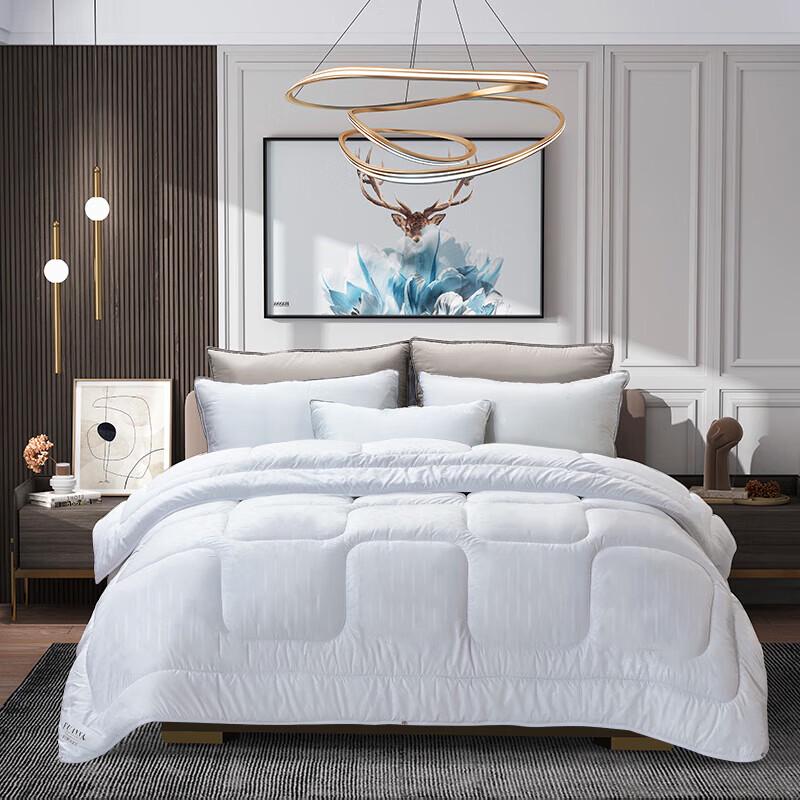 FUANNA Ultra-Soft Winter Comforter