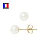 Earrings - Compagnie Générale Des Perles - 6-7 Mm - 18 Carat Gold - Push System - Women