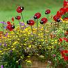 Bunch Of Insect Ladybug Multichamber Stakes Flower Pots Garden Yard Plant Decor
