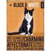 [R1193] — Магнит металлический «Кошки» оранжевый чёрный белый (Chat Noir & Blanc — Black and White) — 9х6. 5 см