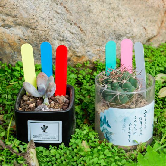 100 шт./пакет, знак для садоводства, легко писать, водонепроницаемый, с отверстием, детский поднос, с круглой головкой, суккулентные растения