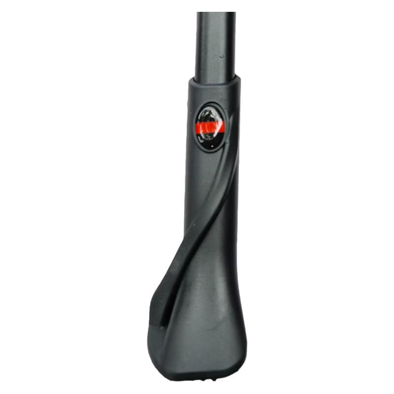 Li Shi Electric Bike Adjustable Kickstand