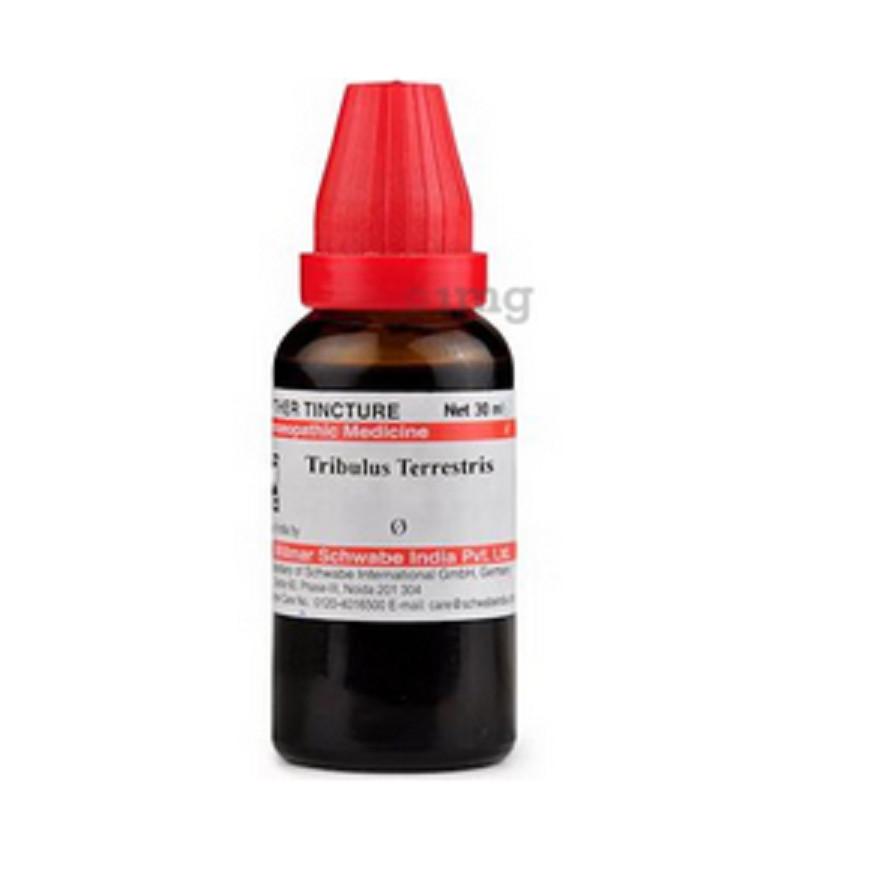 @ Dr Willmar Tribulus Terrestris Q Homeopathic 30ML g117 UKR1671_60%OFF