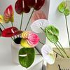 3D Printed Red Anthurium Flamingo Artificial Flower for Wedding and Home Décor