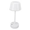 Desk Lamp LED Rechargeable Cordless Stepless Dimming Touch Control 3 Color Temperature Table Lamp for Living Room