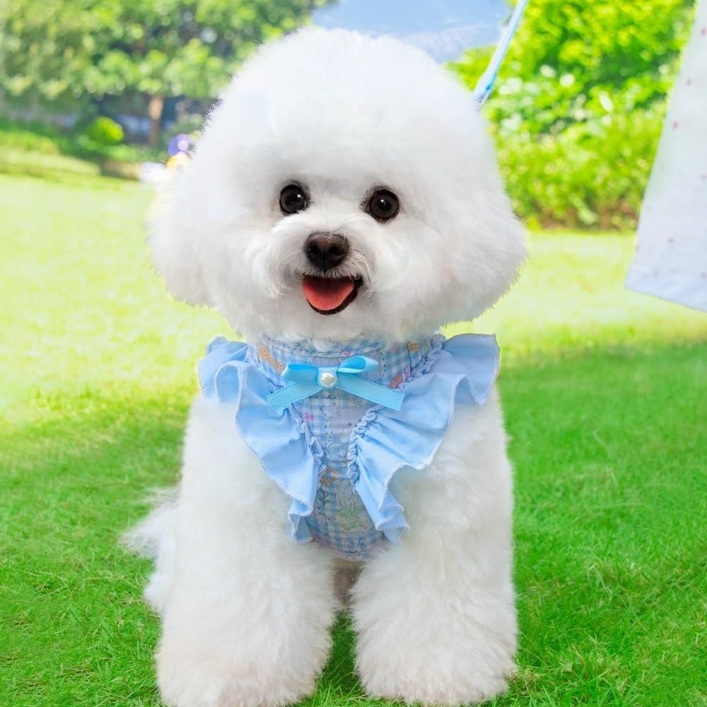 Adjustable Dog Harness and Leash Breathable Cat Harness Vest No Pull Pet Walking Rope  Pet Supplies