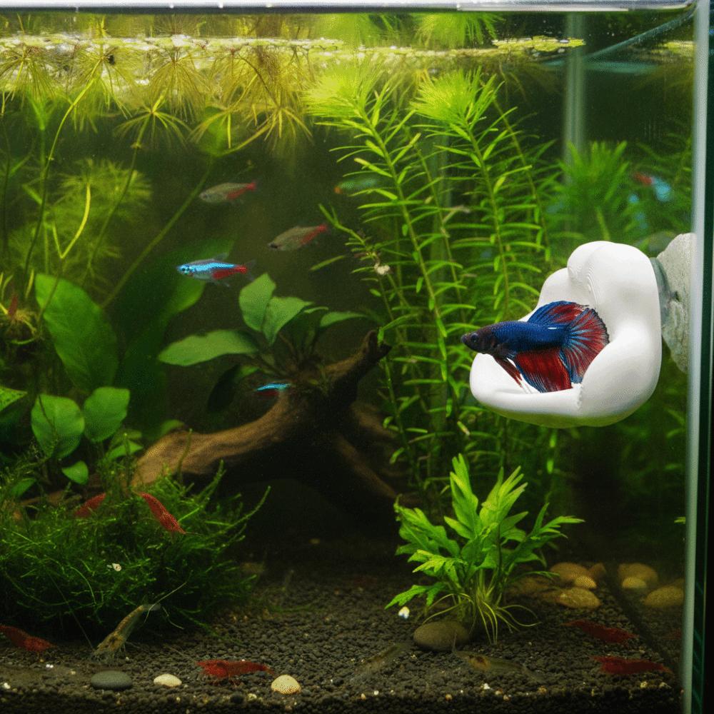 3D Printing Betta Fish Hammock with Suction Cup Betta Spawning Bed Aquarium Decoration