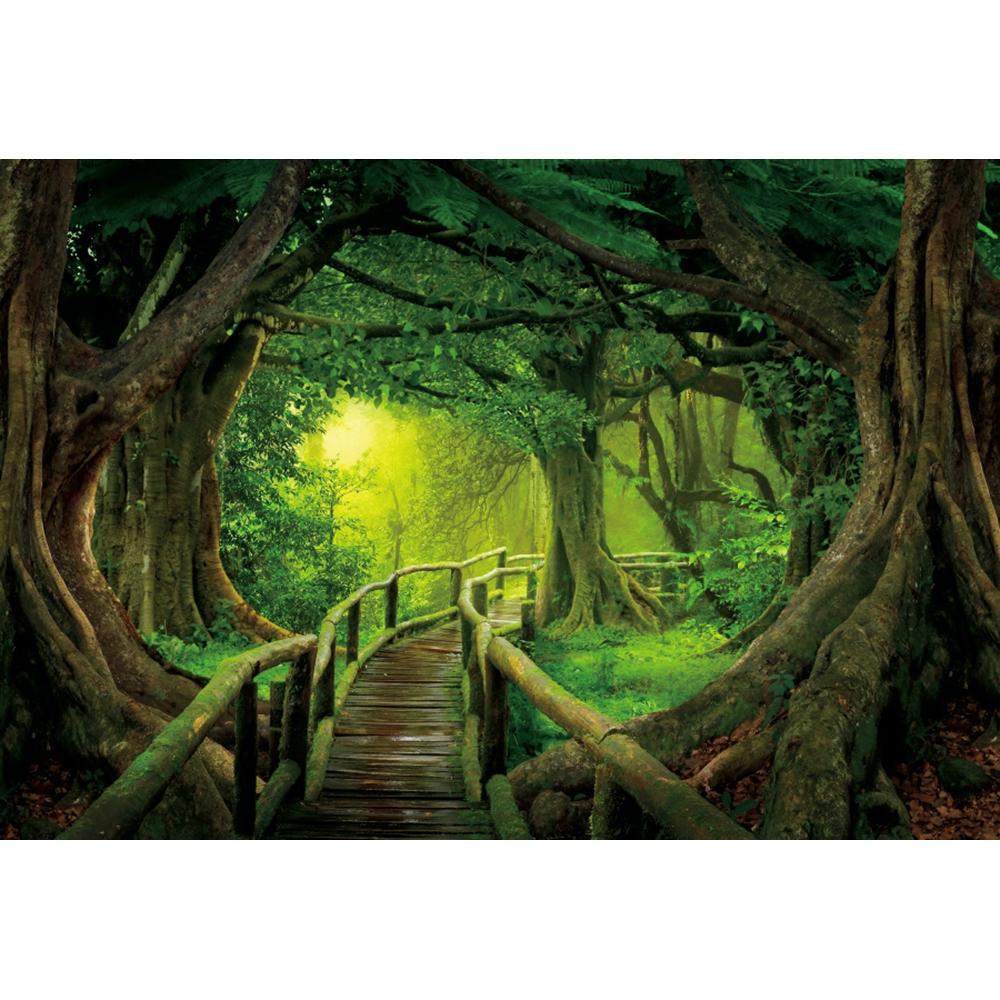 Spring Forest Backdrop Tropical Jungle Rainforest Backdrops for Photography Camping Adventure Birthday Background Photo Studio
