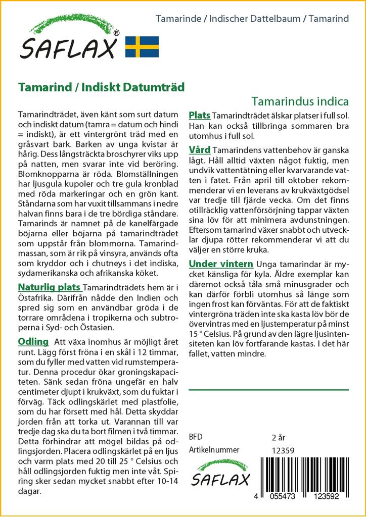 SAFLAX Подарочный набор - Тамаринд - 4 семени - С подарочной коробкой, карточкой, этикеткой и субстратом для горшков - Tamarindus indica