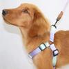 Dog Harness for Small Medium Dogs Fabric Chest Harness Outdoor Training Harness Adjust Leash for Dog Walking Supply