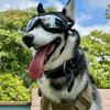 Pet Sunglasses Dog Goggles with Adjustable Elastic Strap Anti-fog Waterproof UV-Protection Pet Glasses Eyewear