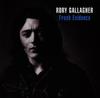 CD RORY GALLAGHER Fresh Evidence Reis JPCD9909243 1999 Russia Rock Used