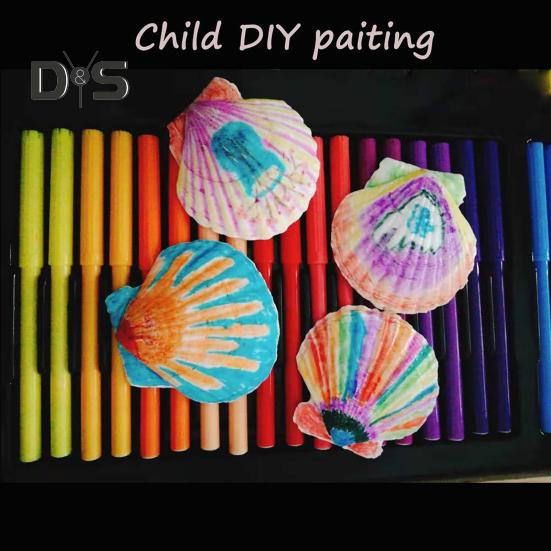 10Pcs Natural Scallop Shells DIY Crafts Theme Party Decor Bright White Seashells Jewelry Christmas Decoration