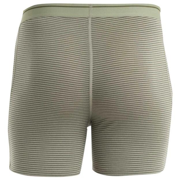 Icebreaker Anatomica Boxers