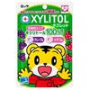 Lotte Xylitol Tablet Assortment, 30g X 10 Bags X (2 Cases)