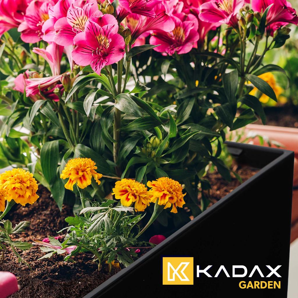 KADAX Doniczka Donica Skrzynka Balkonowa Z Wkładem Kwietnik Czarny Połysk 19x56cm