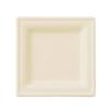ECO&BASIC Square Plates, 20cm, Pack of 50, Disposable Paper Plates, Microwaveable, Unbleached Bagasse, Durable, Stain-Resistant, Eco-Friendly, Plant-B