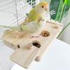 Training Function Parrot Feeding Tray Hanging Pet Food Seek Toy  for Small Pet