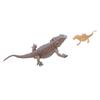 Lizard Life Cycle Figurine Toy Educational Interactive Lifelike Simulated Reptile Animal Figurine Se