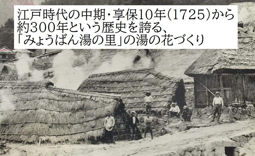 Myoban Yunosato Medicinal Yunohana Bath 16 servings x 3 10g x 48 packs [Quasi-drug] Additives, packs,