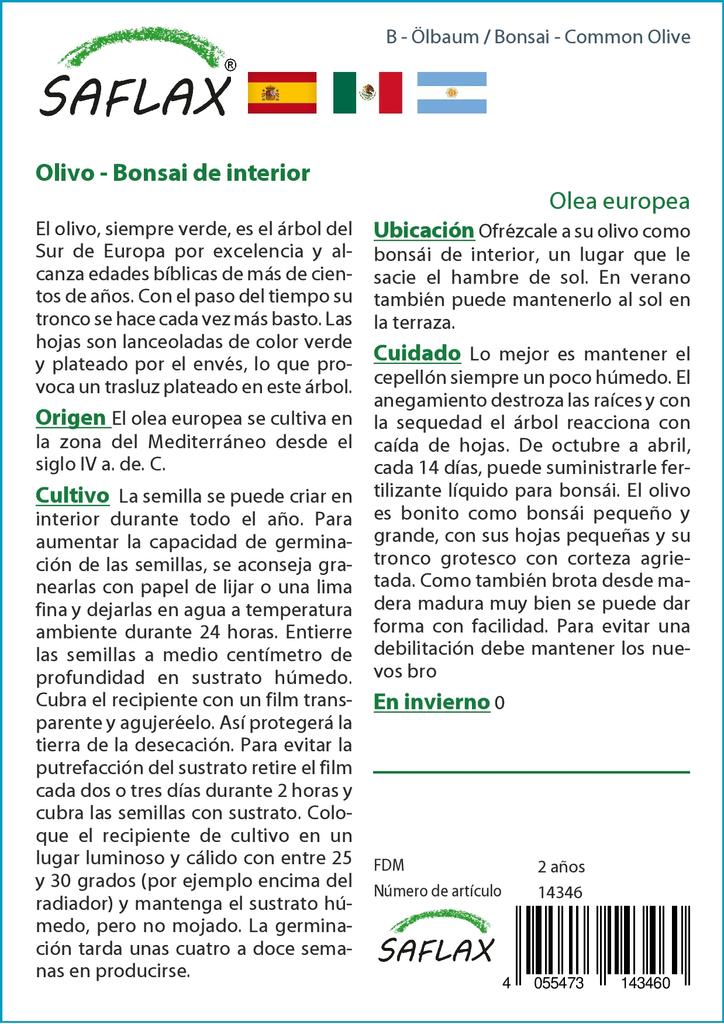 SAFLAX Garden in the Bag - Бонсай - Олива обыкновенная - 20 семян - С субстратом в подходящем пакете - Olea europea